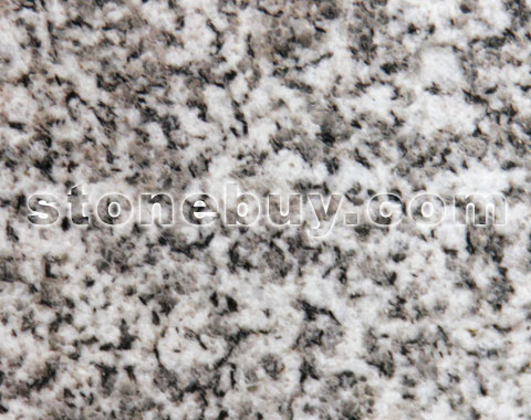 , Silver Crystal White Grai