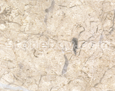 ׿, Zhuoya Grey