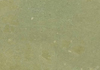 ʼƻ