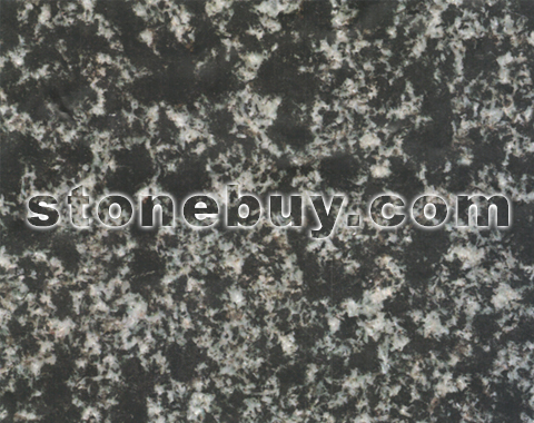 Ƥ, Leopard Skin Green