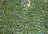 㱴