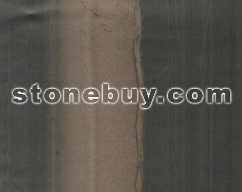 斑马绿, Zebras Green