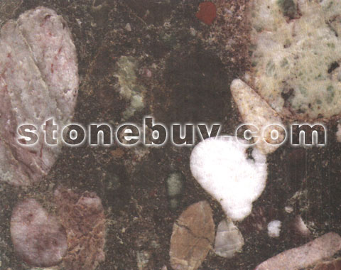 ʯʯ, Lithosporic
