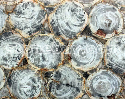 ʯ, Brown Petrified Wood