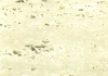 ʯ