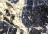 ̩