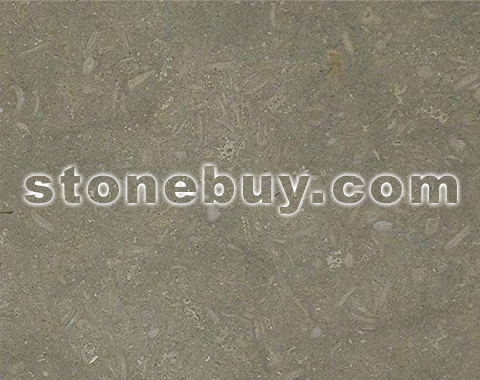 ʯ, Pewter Fossil