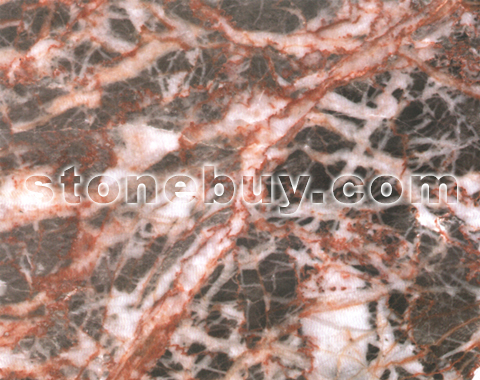 , Red Root Vein