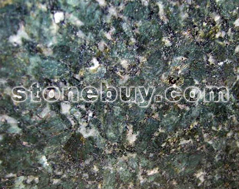 , Verde Butterfly