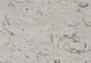 Ǯ׻
