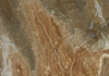 ȸ