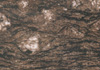 ȸ