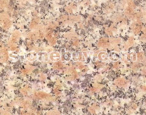 ݾջ, G3305, Shangyu Chrysanthemum Red